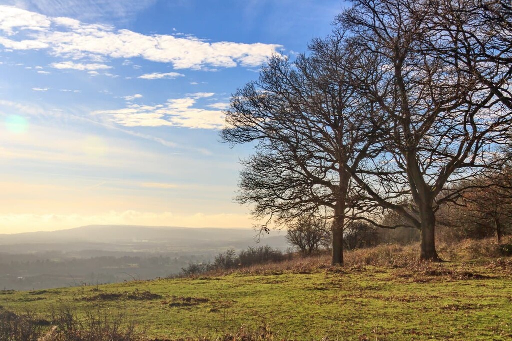 Colley Hill, Surrey Hills Area, England