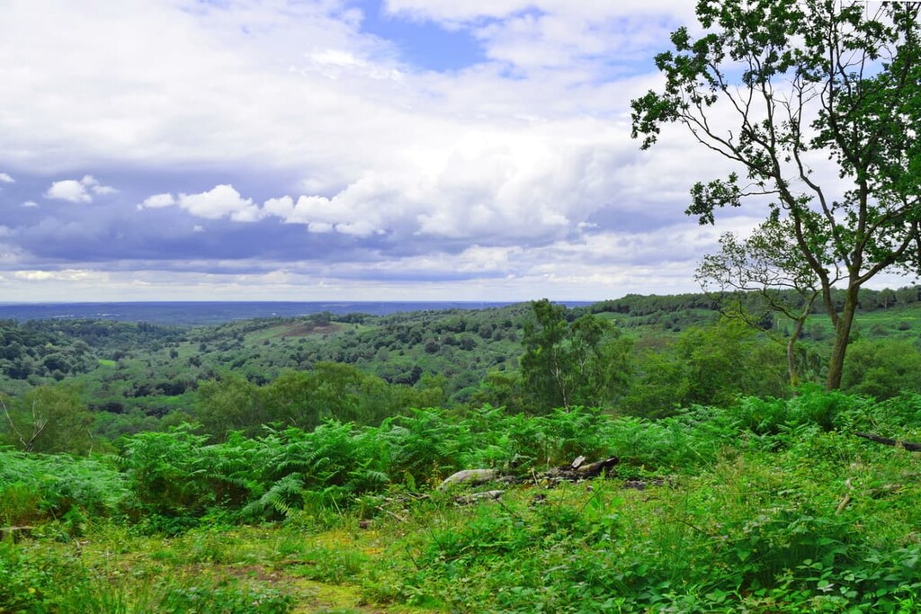 Devil's Punch Bowl, Surrey Hills Area, England