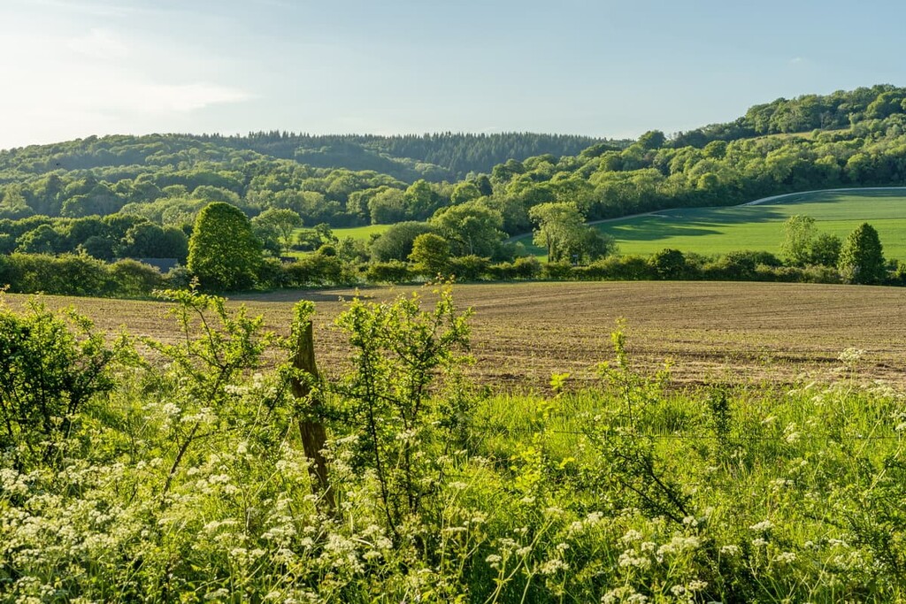 Surrey Hills Area, England