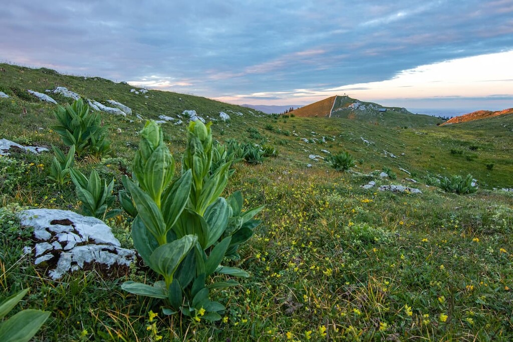 Mont Tendre, Jura Vaudois Nature Park , Switzerland