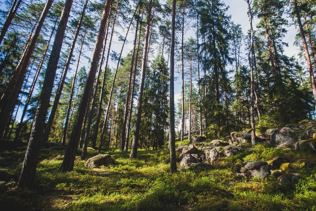 Syote National Park, Finland