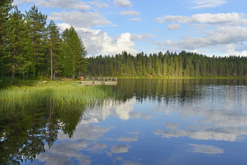 Syöte national park