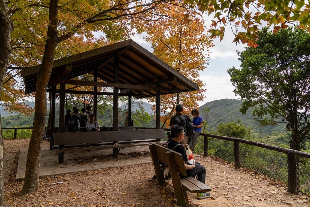 Tai Tong Sweet Gum Woods, Tai Lam Country Park, China