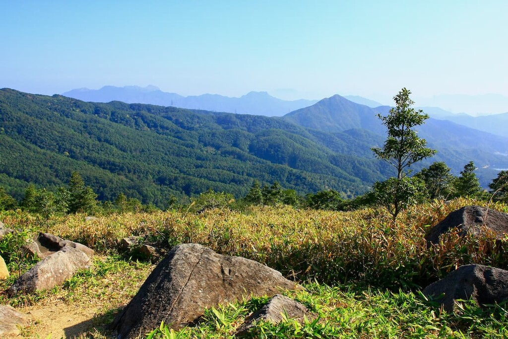 Tai Mo Shan Country Park, Chinese