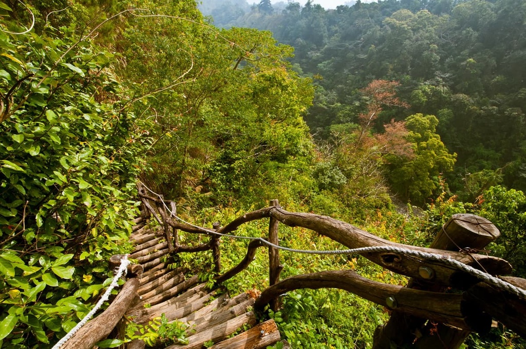 forest, Taichung City, Taiwan