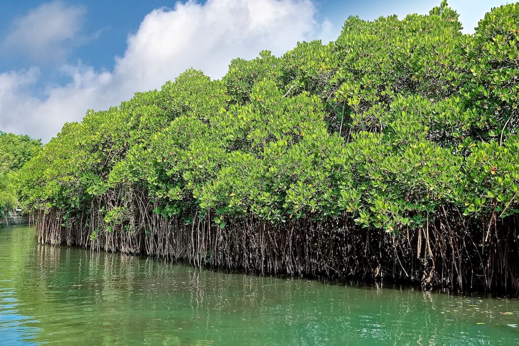 Sicao Dazhong Temple, Taijiang National Park, Taiwan