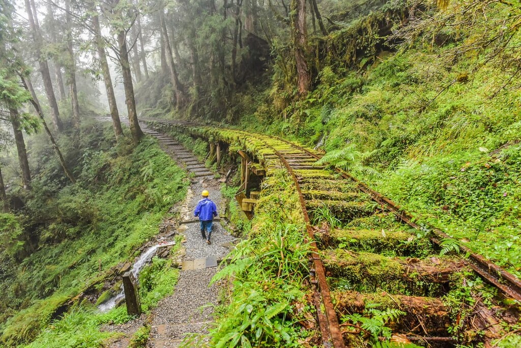 Jancing Historic Trail , Taipingshan National Forest Recreation Area, Taiwan