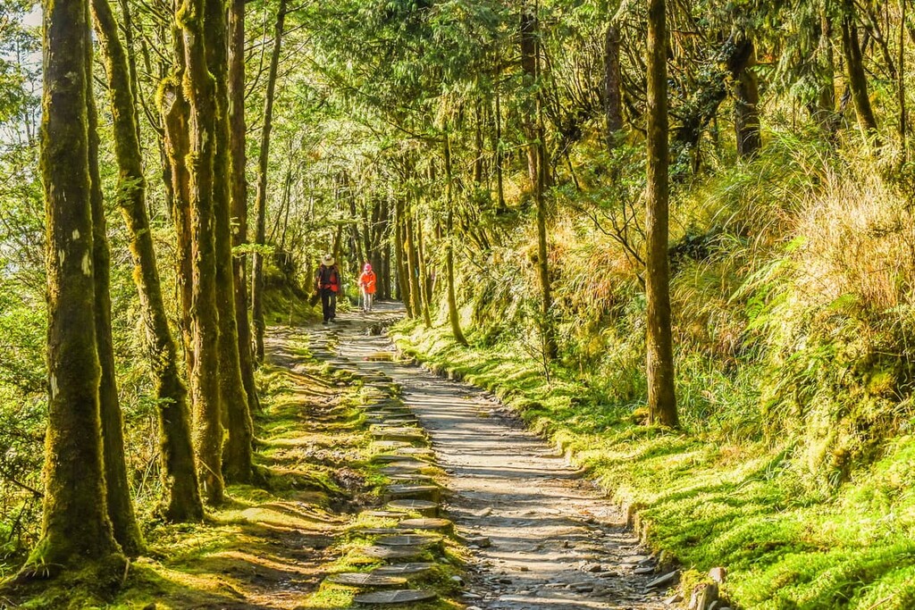 Taipingshan National Forest Recreation Area, Taiwan