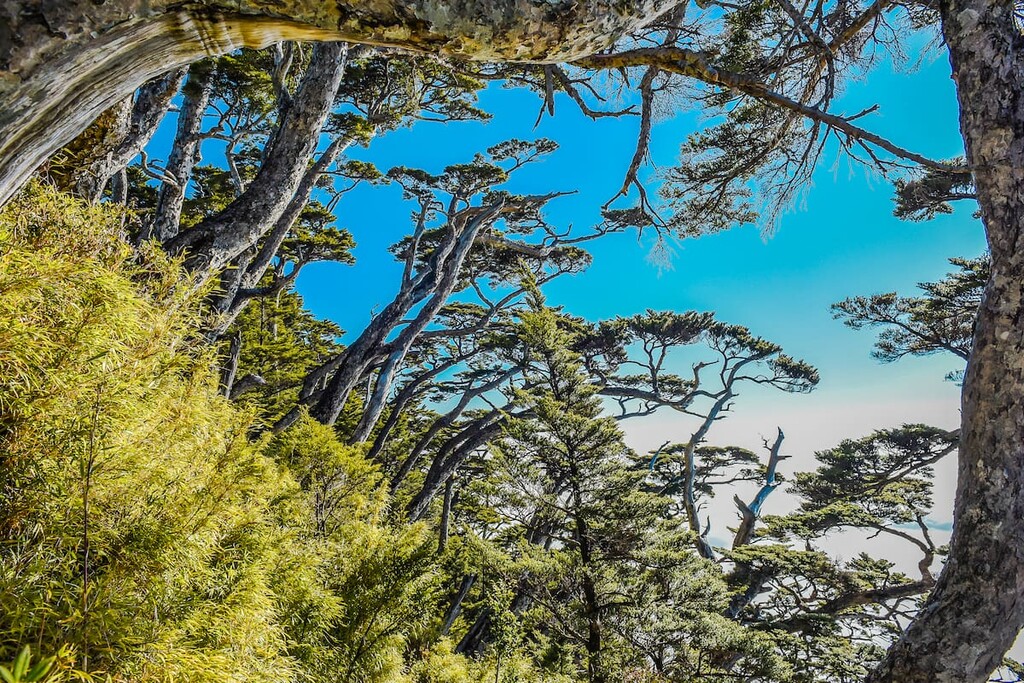 Beidawushan, Shuanggui Lake Major Wildlife Habitat, Taiwan