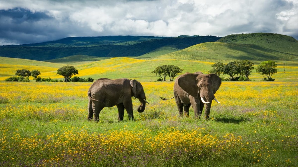 Ngorongoro crater, Tanzania