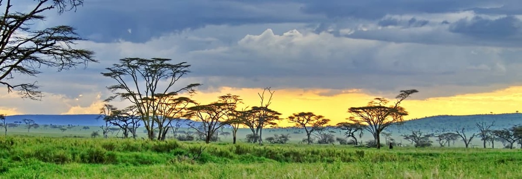 Tanzania Mountains