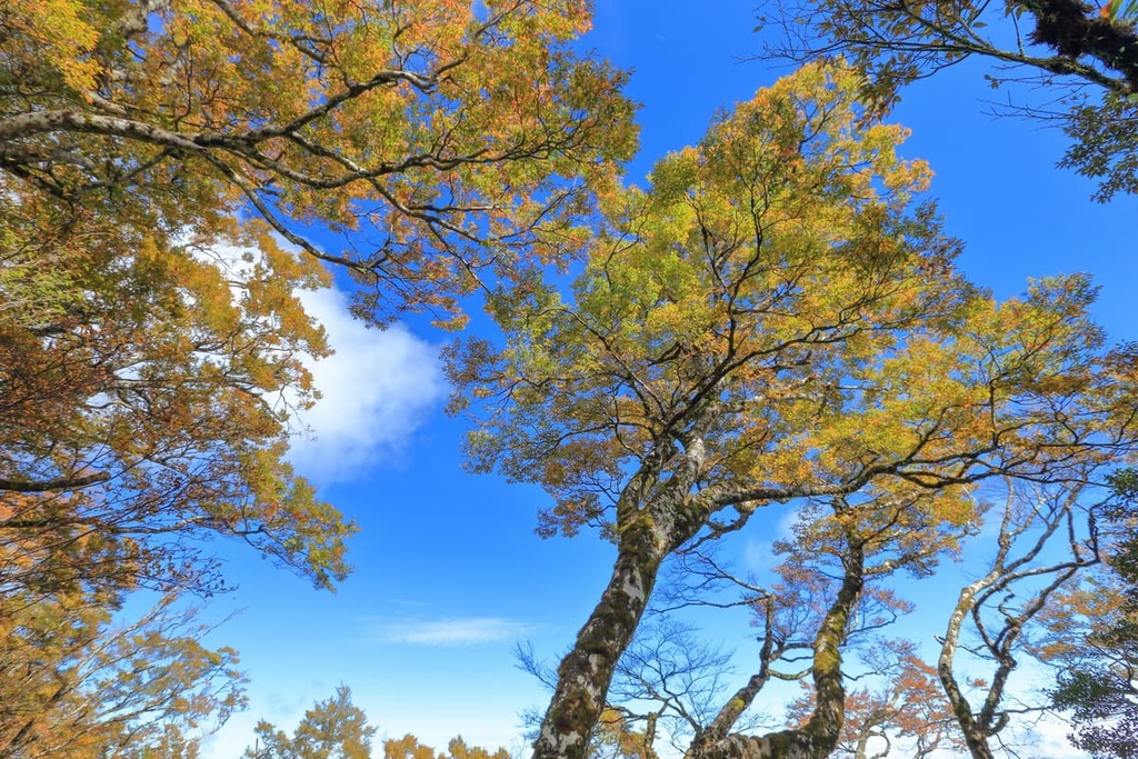 Taoyuan City, Taiwan
