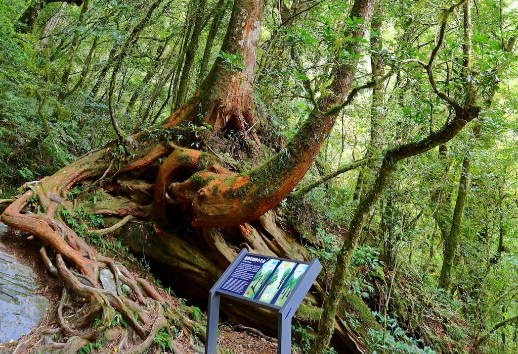 Taoyuan City, Taiwan