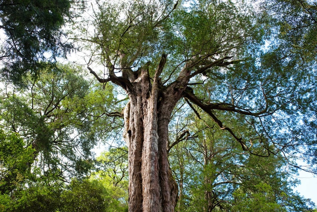 Taoyuan City, Taiwan