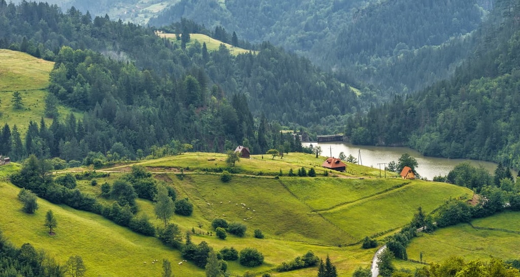 Tara National Park, Serbia