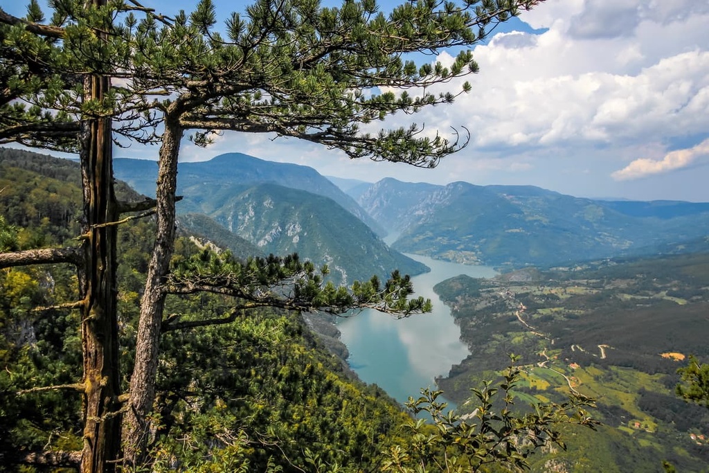 Tara National Park, Serbia