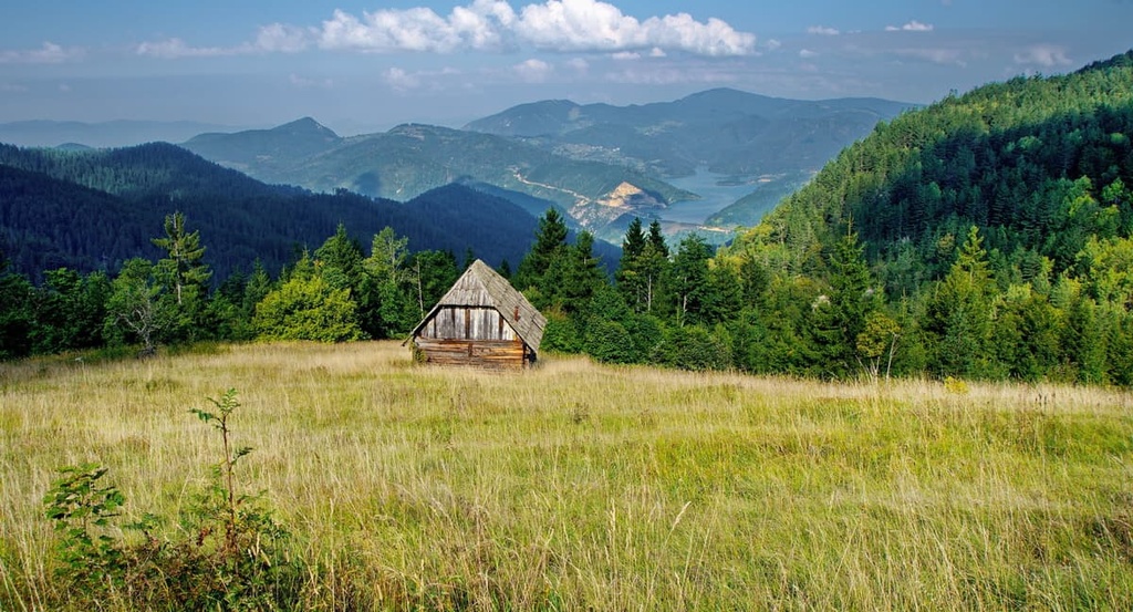 Tara National Park, Serbia