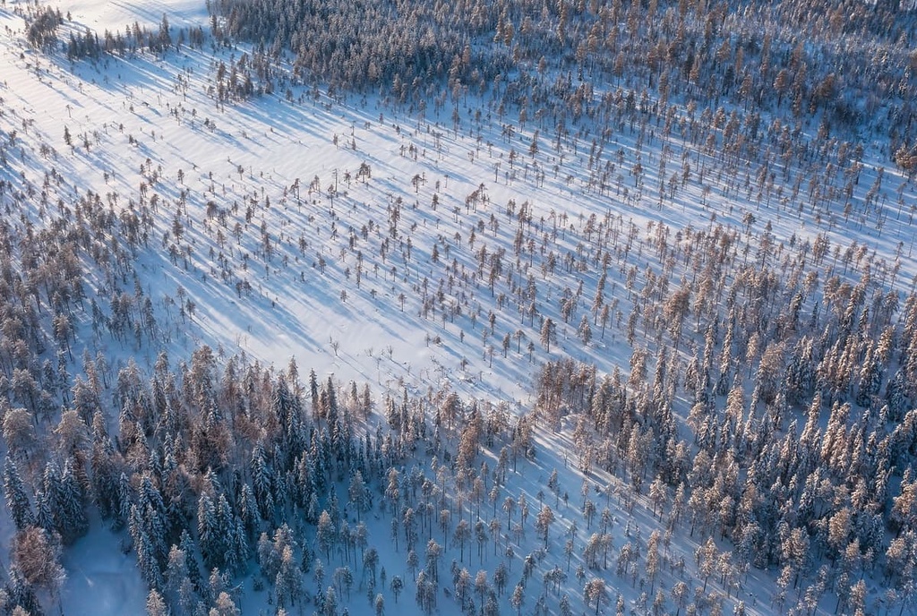 Tarvantovaara Wilderness Area, Lapland, Finland
