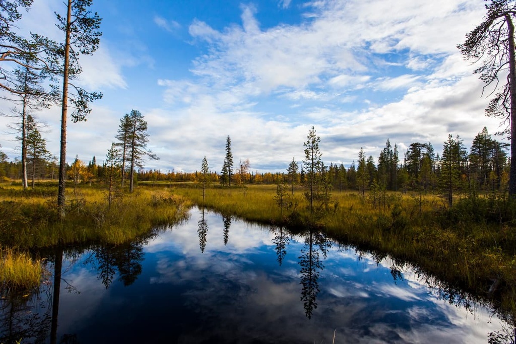 Tarvantovaara Wilderness Area, Lapland, Finland