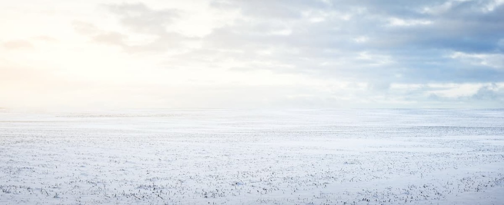 Tarvantovaara Wilderness Area, Lapland, Finland