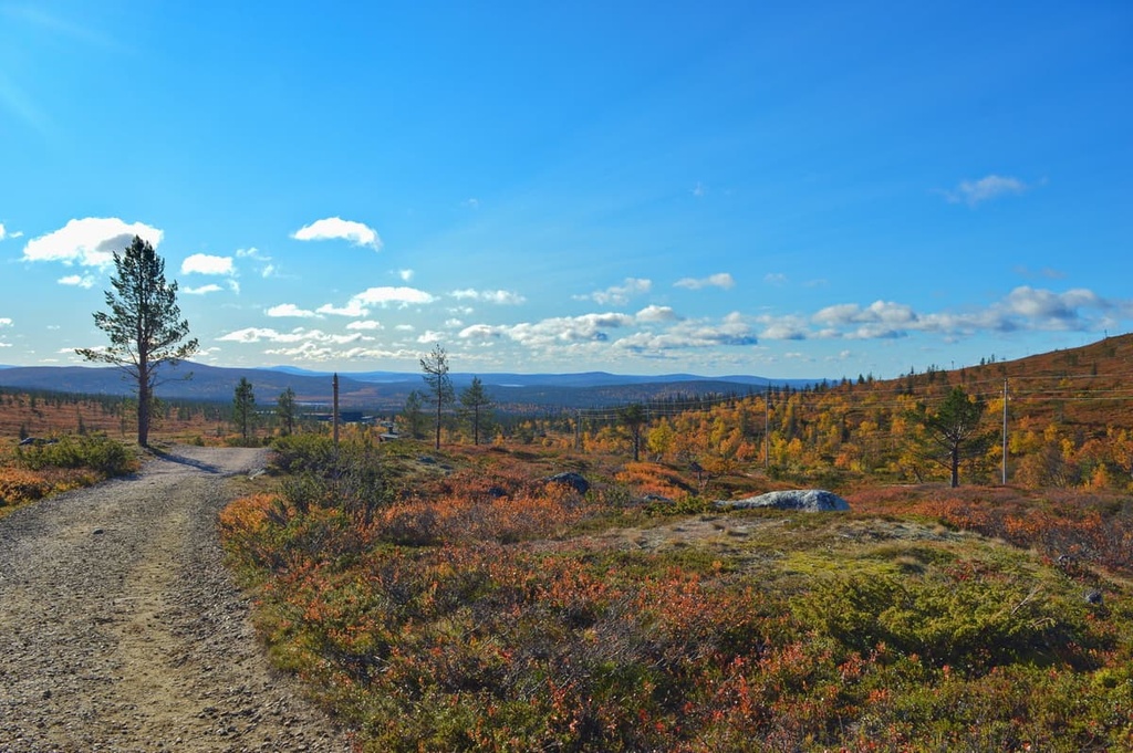 Tarvantovaara Wilderness Area, Lapland, Finland