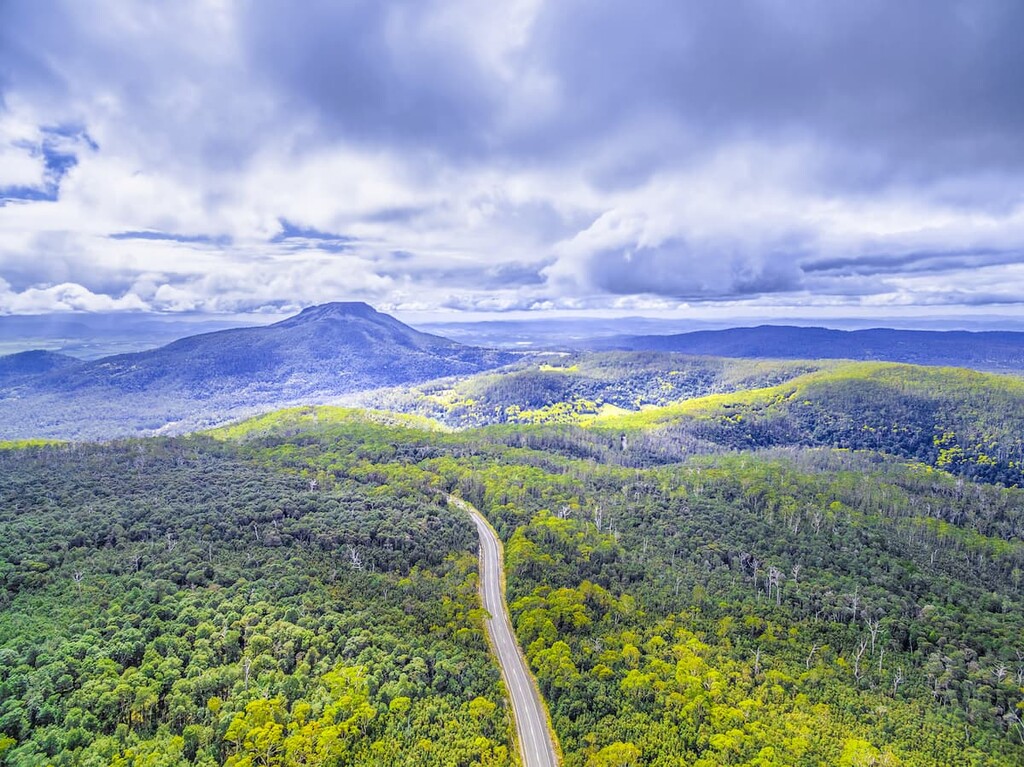 Central Highlands Forests, Tasmania