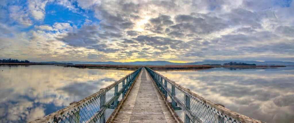 Tamar Island boardwalk in Lanceston, Tasmania