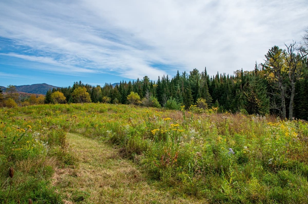Taylor Pond Wild Forest, New York