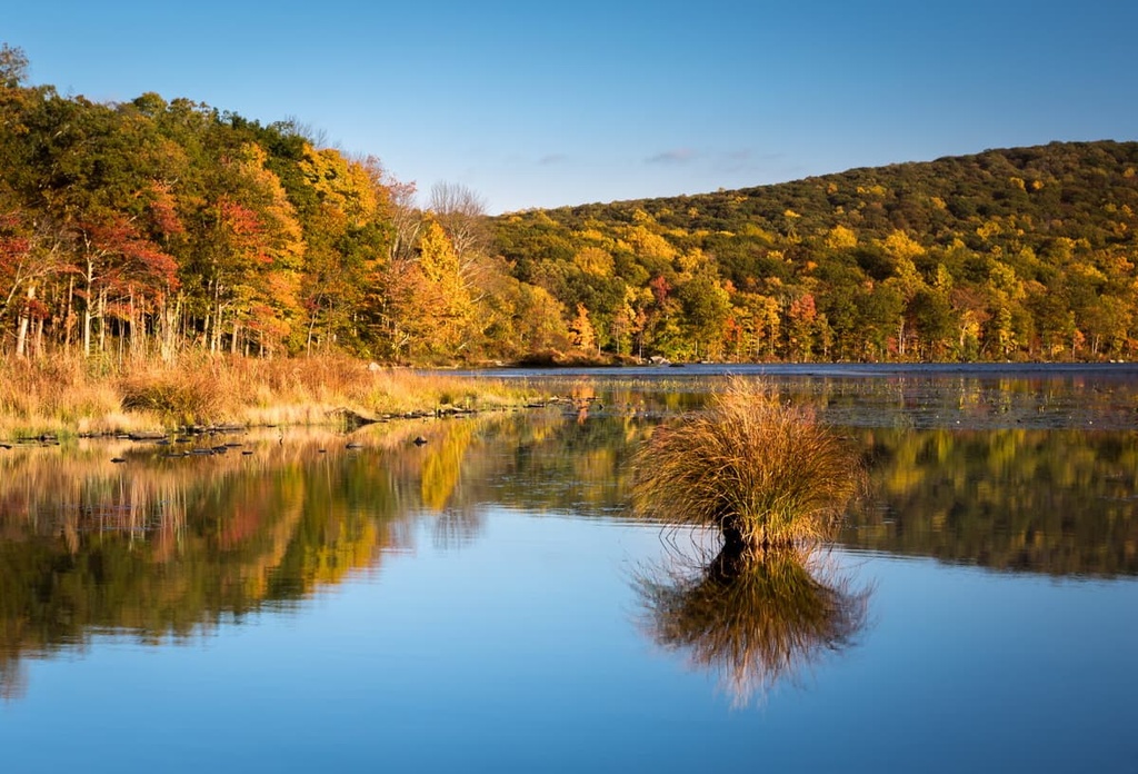 Taylor Pond Wild Forest