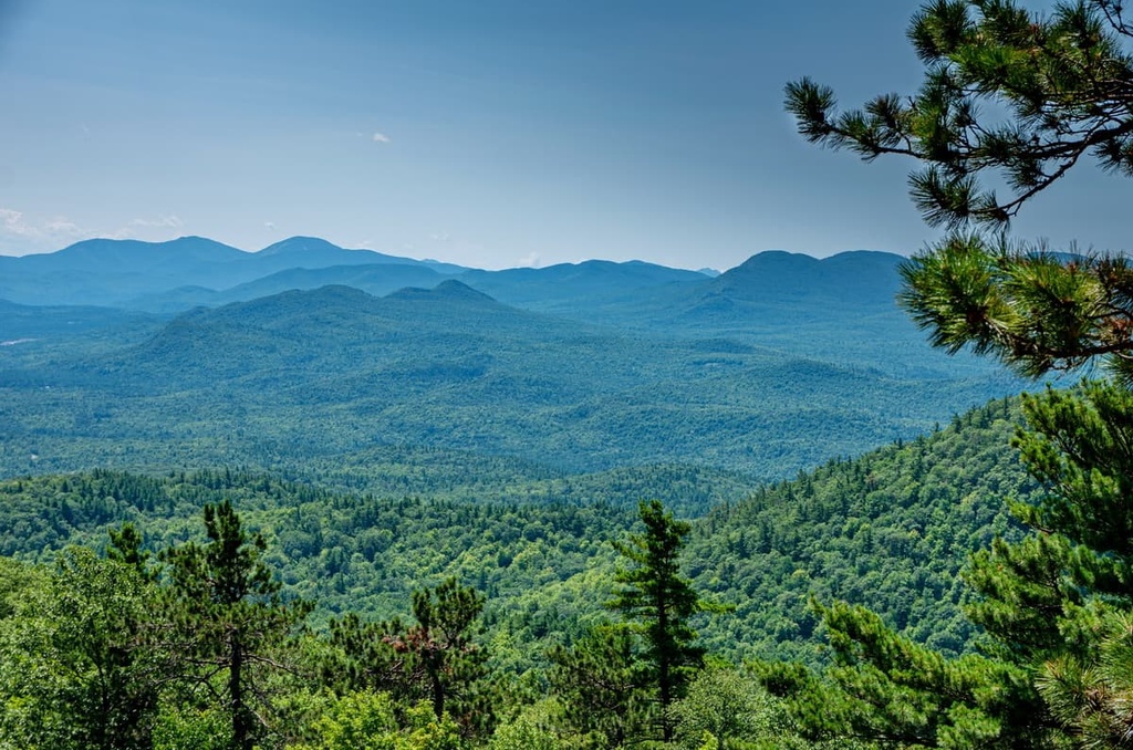 Taylor Pond Wild Forest, New York