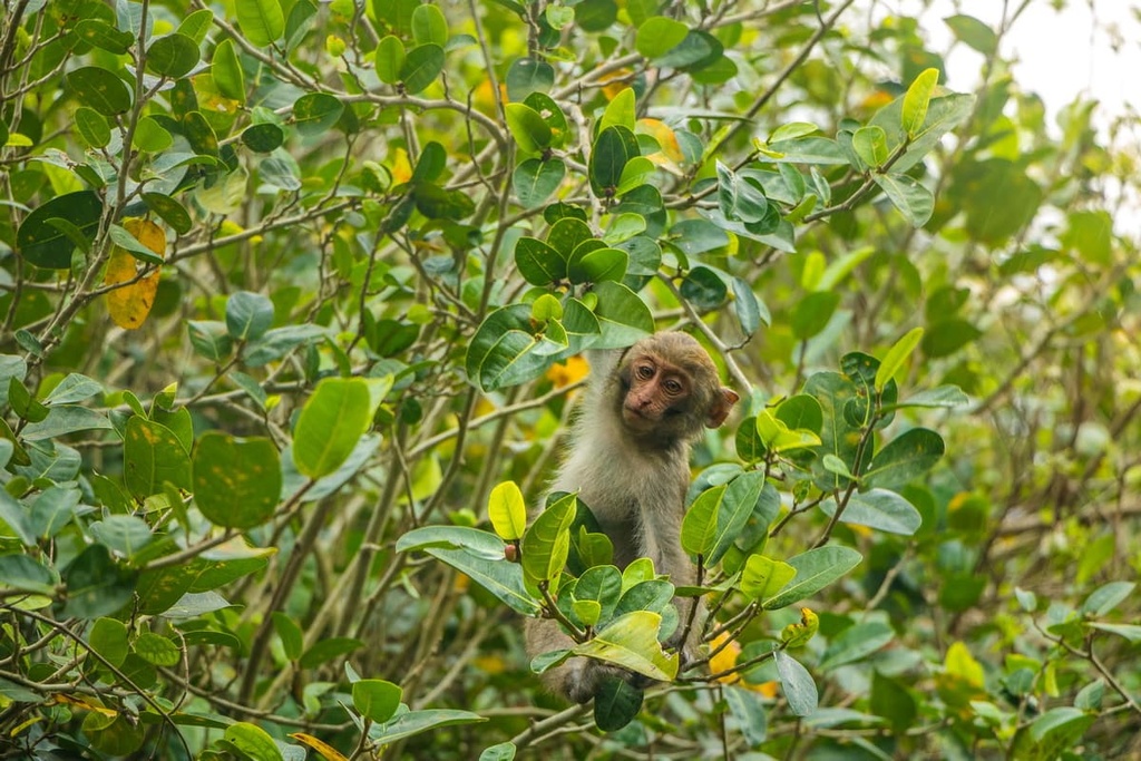 Tengjhih National Forest Recreation Area, Taiwan