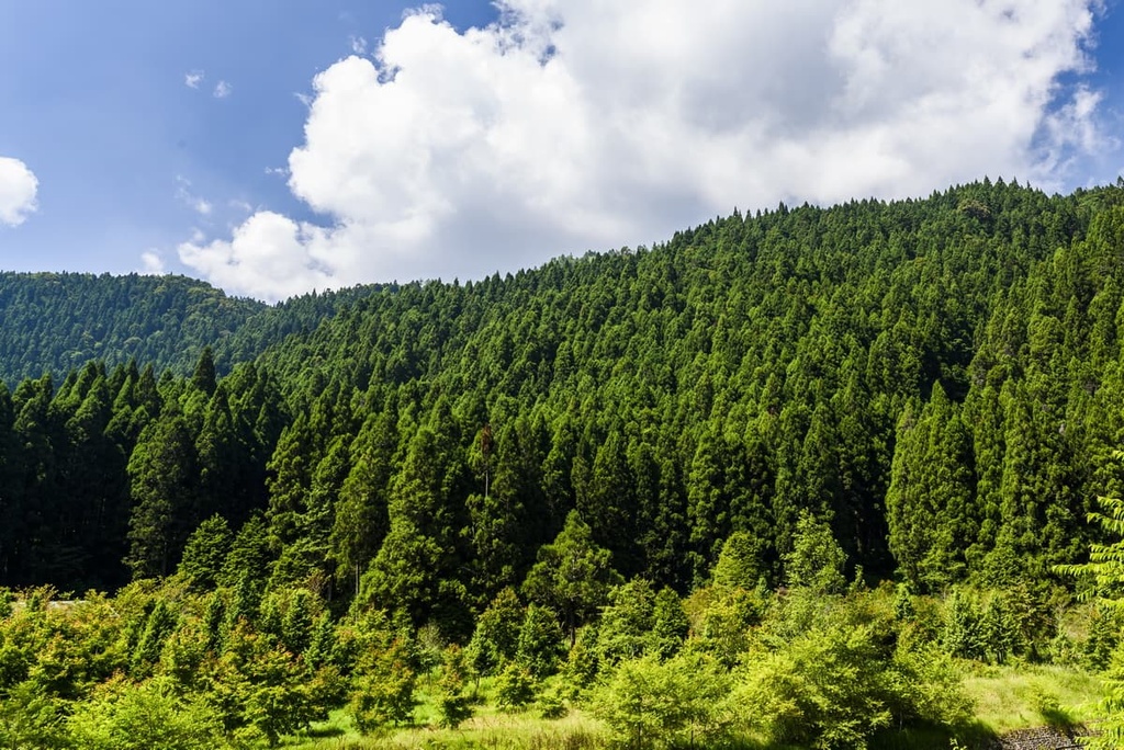 Tengjhih National Forest Recreation Area, Taiwan