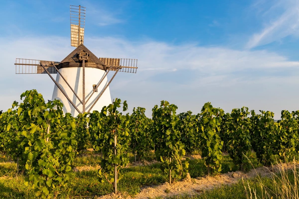 Retz, Austria, Thayatal National Park
