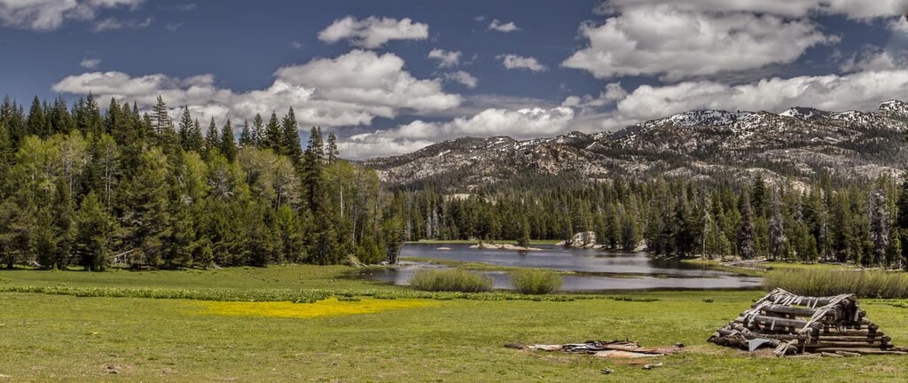 Carson-Iceberg Wilderness, Toiyabe National Forest, us