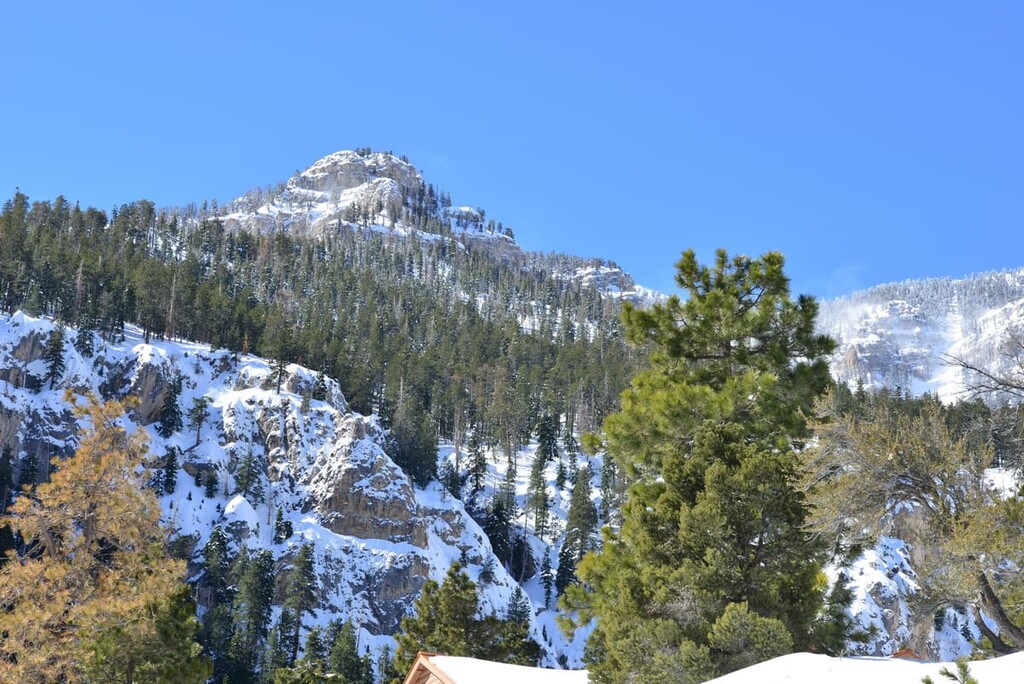 Toiyabe National Forest