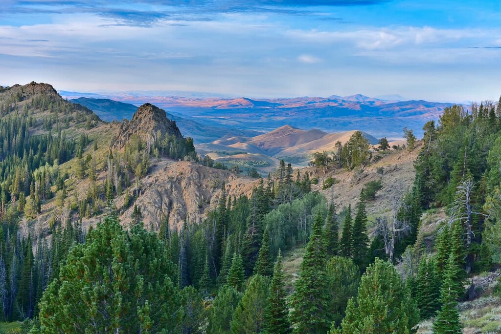 Toiyabe National Forest