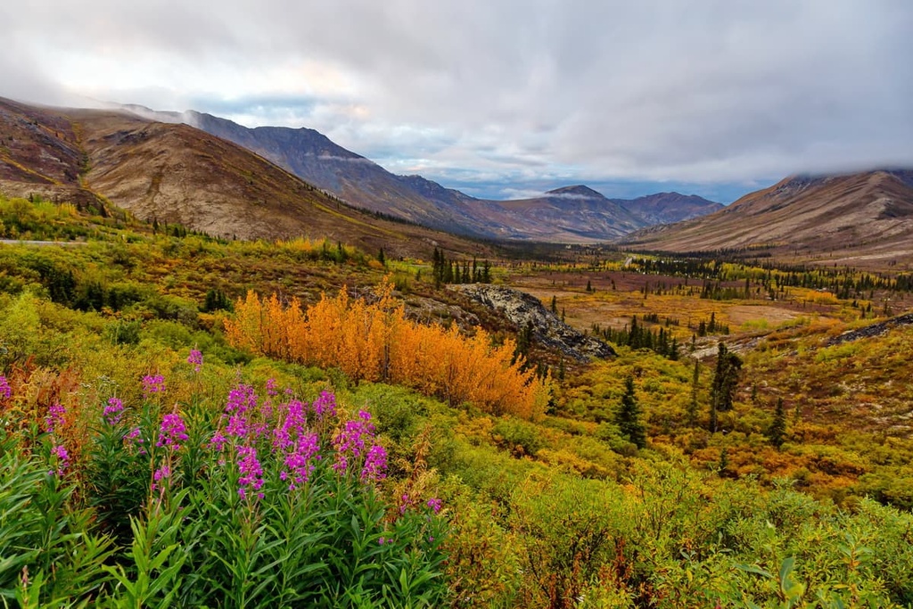 Tombstone Territorial Park, Yukon