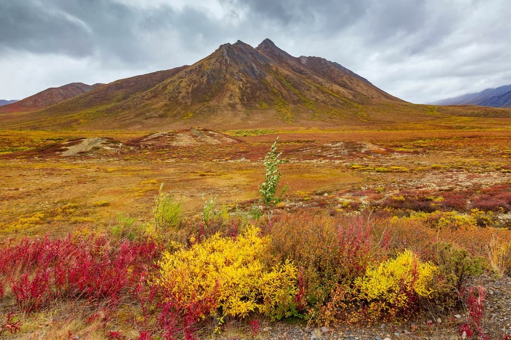 Tombstone Territorial Park