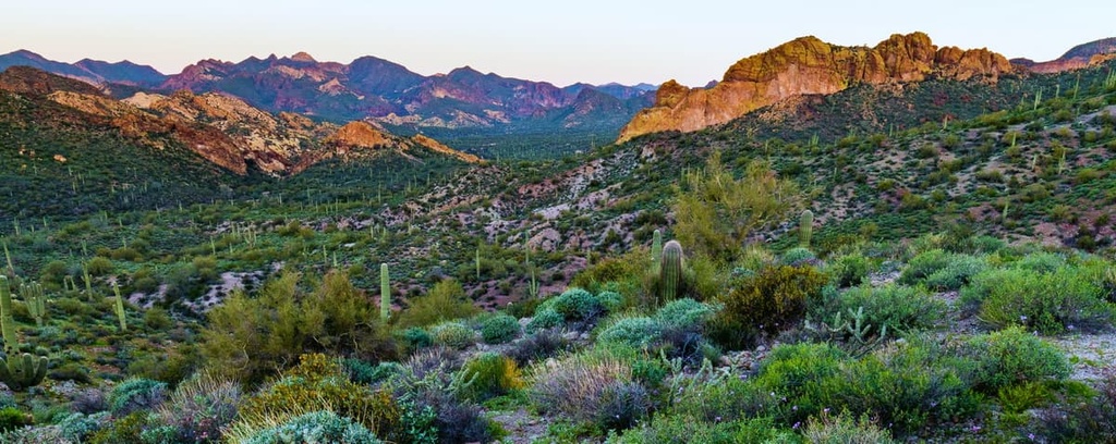 Tonto National Forest, Arizona