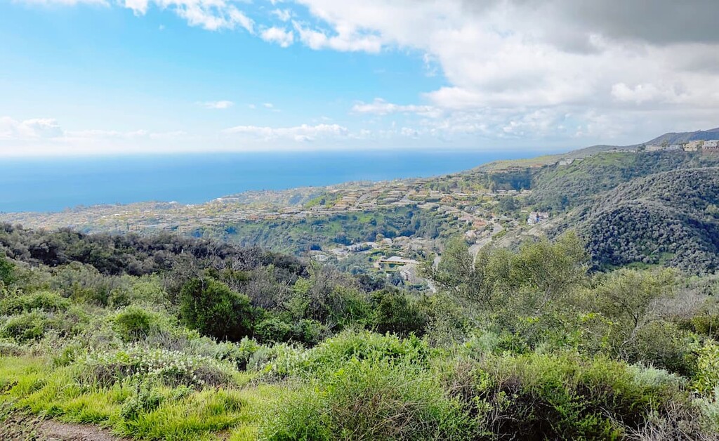 Temescal Canyon, Topanga State Park, California