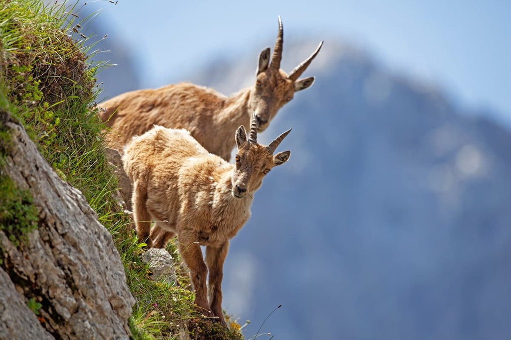 Triglav National Park, Slovenia