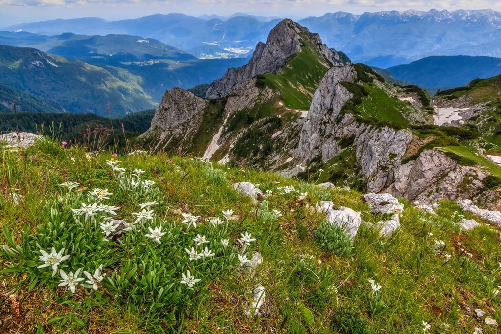 Triglav National Park, Slovenia