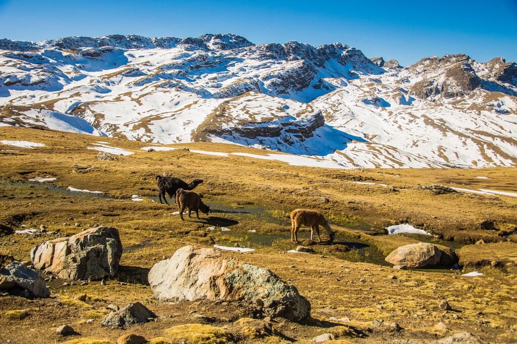 Tunari National Park, Bolivia
