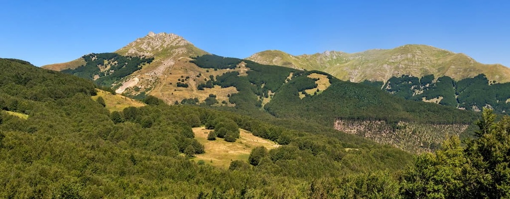 Reptiles  Parco Nazionale dell'Appennino Tosco-Emiliano