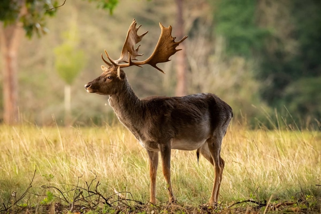 Tuscan-Emilian Apennines National Park, Italy