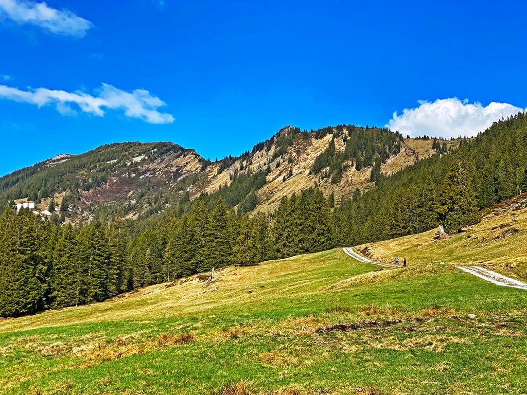 Hengst. UNESCO Biosphere Entlebuch, Switzerland