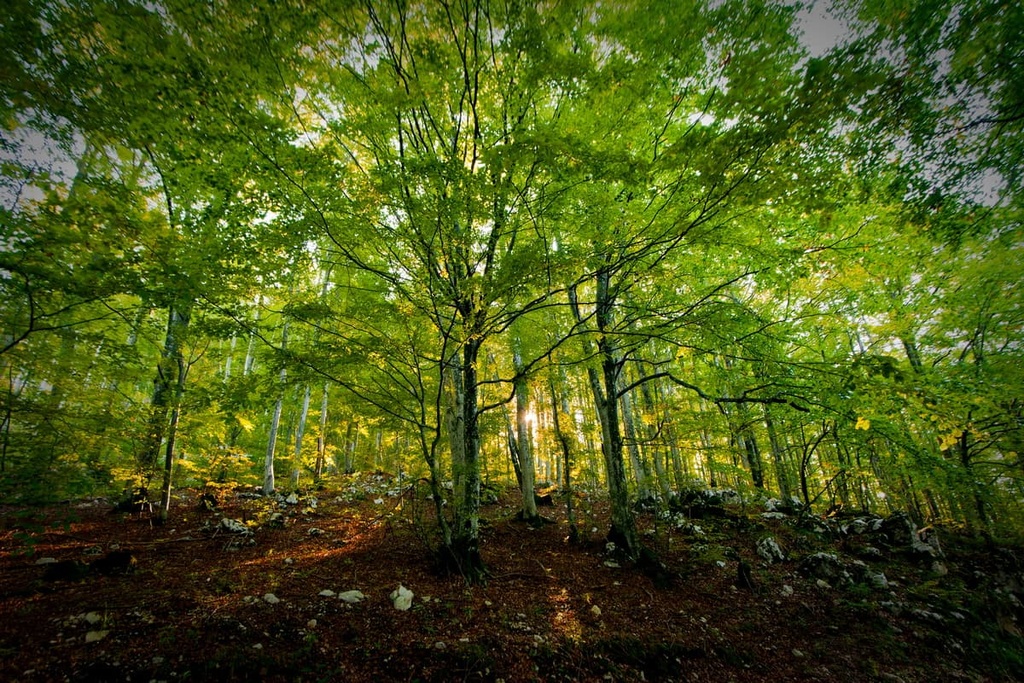 Učka Nature Park, Croatia