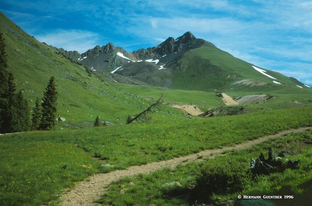High Alpine Meadow, Uncompahgre National Forest, Colorado