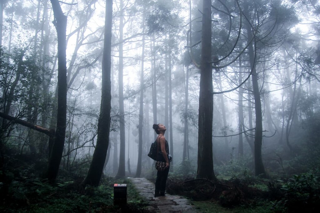 Upper Masu River Special Conservation Area, Taiwan