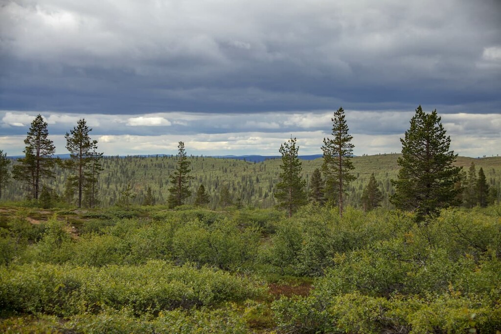 Urho Kekkonen National Park, Finland